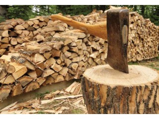 Какие дрова не следует использовать для печи